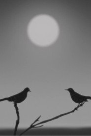 Birdsong