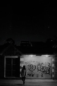 Birds sing at night