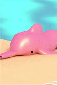 Dolphin Poem