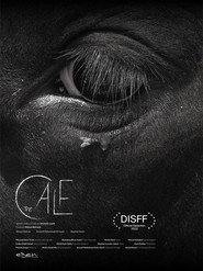 The Calf