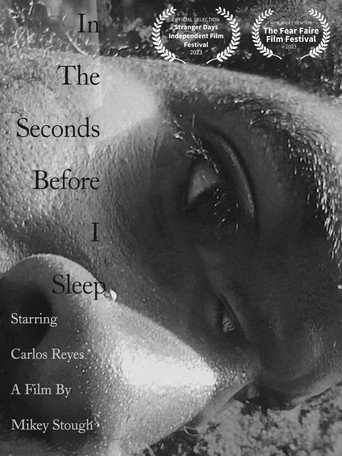 In the Seconds Before I Sleep