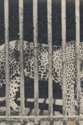 Zoo