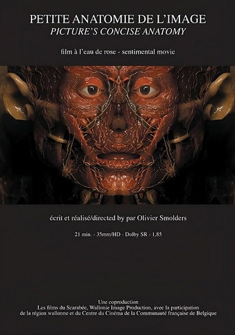 Petite anatomie de l'image