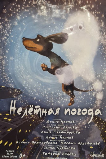 Нелётная погода