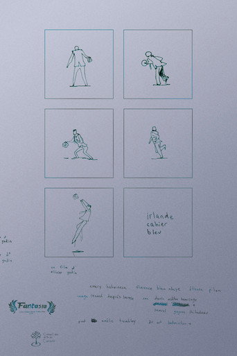 irlande cahier bleu