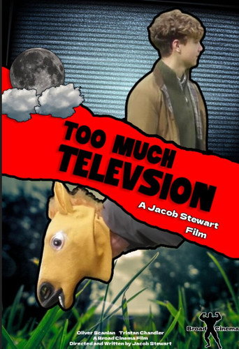 Too Much Television
