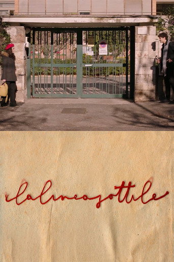 La linea sottile