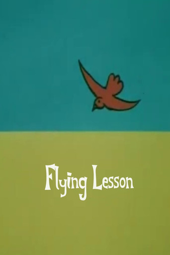 Flying Lesson