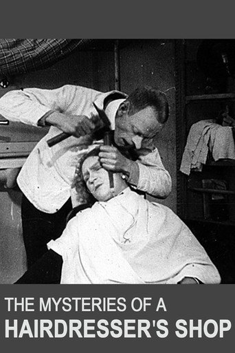 The Mysteries of a Hairdresser's Shop