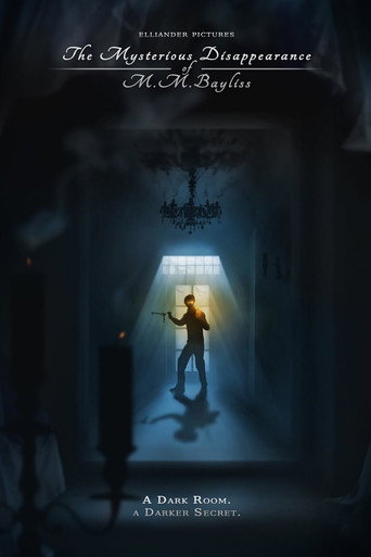 The Mysterious Disappearance of M.M. Bayliss
