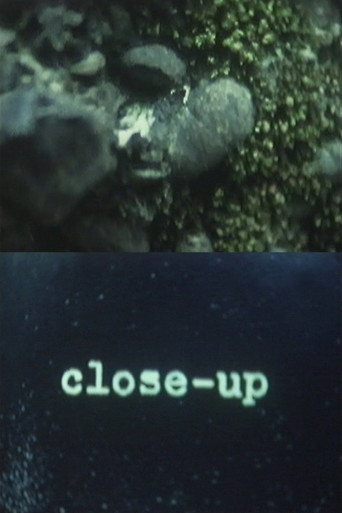 Close-Up
