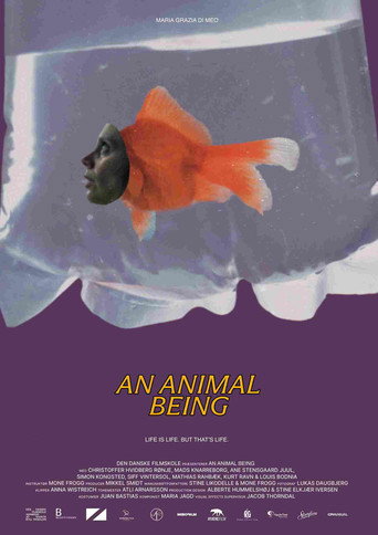 An Animal Being
