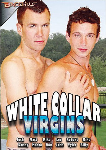 White Collar Virgins