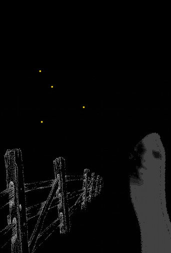 Fireflies Along the Fence