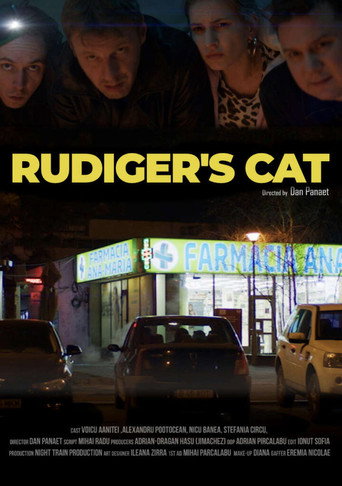 Pisica lui Rudiger
