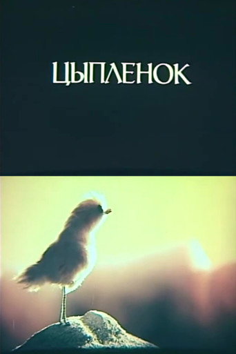 Little Chicken