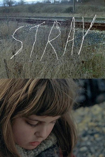Stray