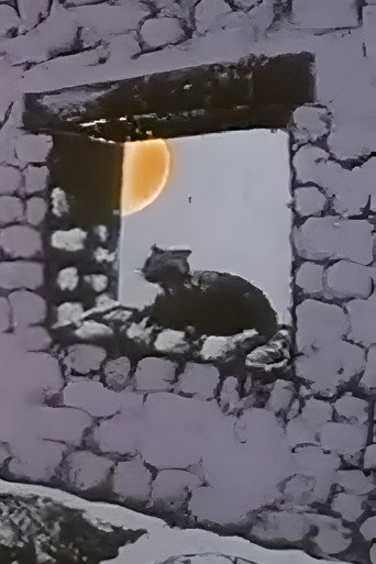 The Chameleon Cat