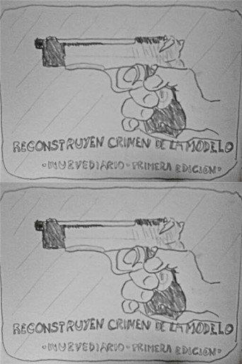 Reconstruyen crimen de la modelo