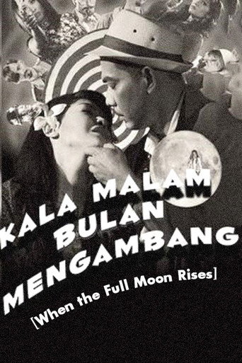 When The Full Moon Rises