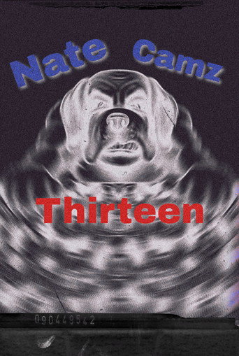 Natecamz 13