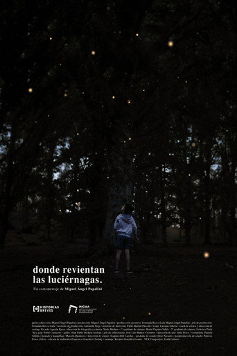 Where the fireflies burst