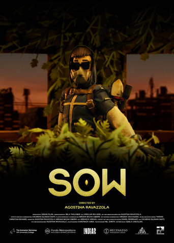 Sow