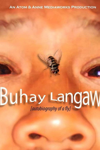 Autobiography of a Fly
