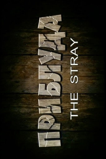 The Stray