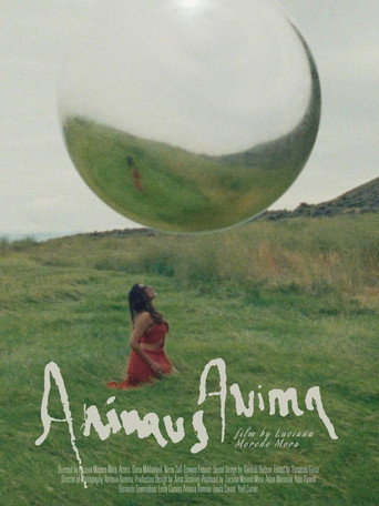 Animus Anima