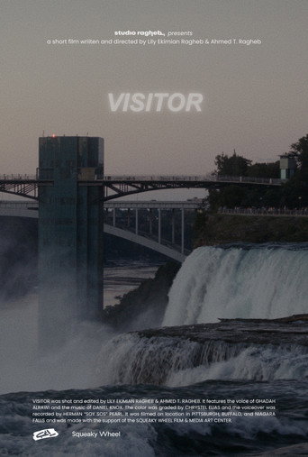 Visitor
