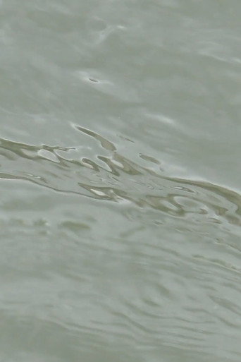 entre les vagues (un hommage)