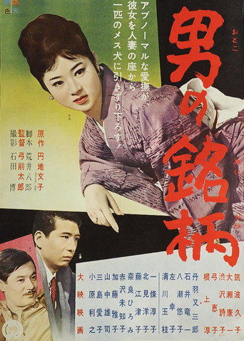 Otoko no meigara
