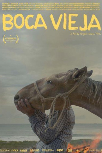 Boca Vieja