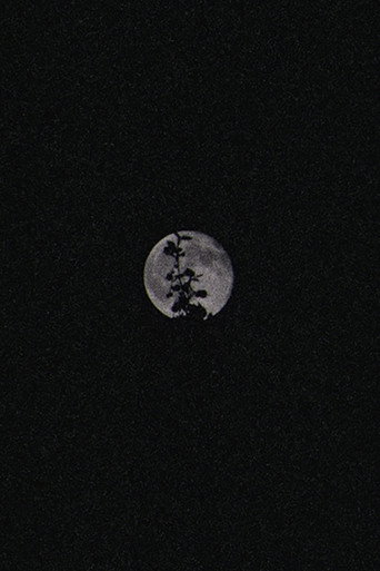 Lunar Visions II