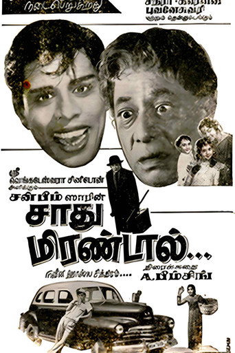Sadhu Mirandal