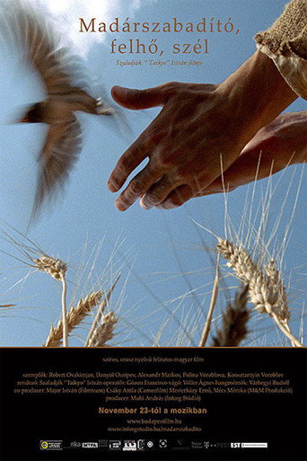 Bird Saviour, Clouds and Wind