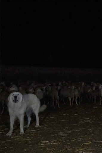 Wolves