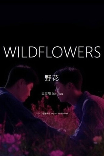 Wildflowers