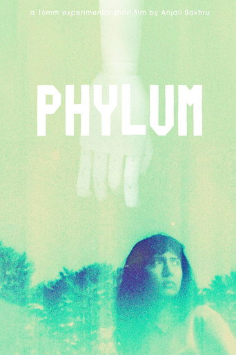 Phylum