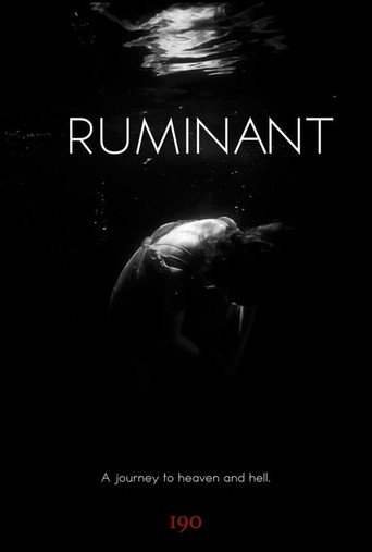 Ruminant
