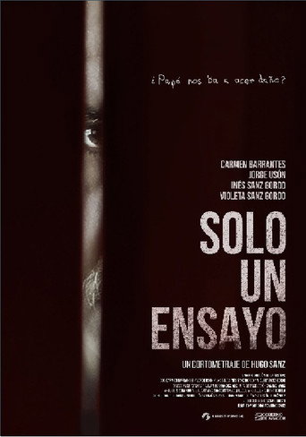 Solo un Ensayo