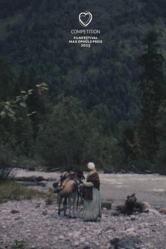 Gold Rush