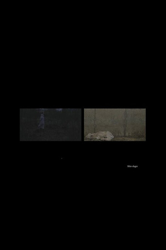Ikke-dager
