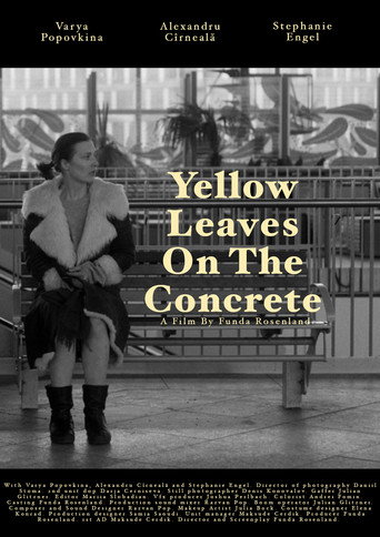 Yellow leaves on the concrete