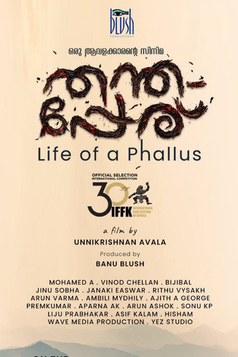 Life of a Phallus