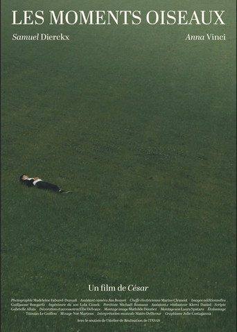 Les Moments Oiseaux