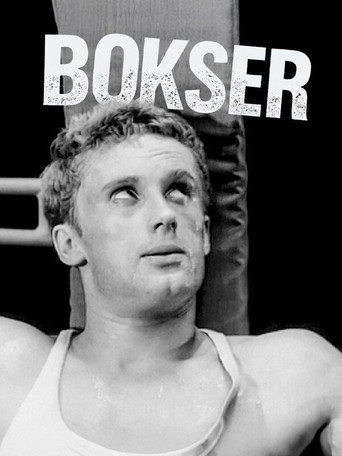 Boxer
