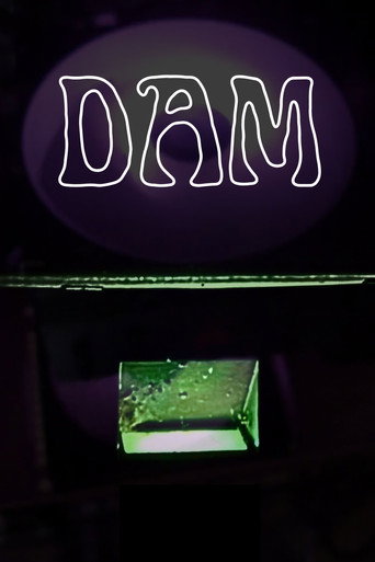 Dam