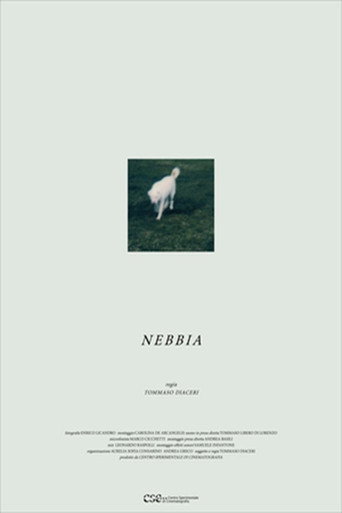 Nebbia